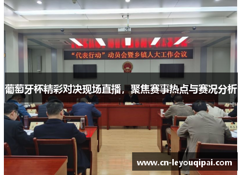 葡萄牙杯精彩对决现场直播，聚焦赛事热点与赛况分析